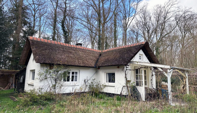 Lees meer over het artikel Landgoed Het Barrebos in Hulshorst