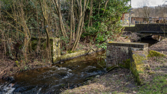 Hierdense Beek 2025.-