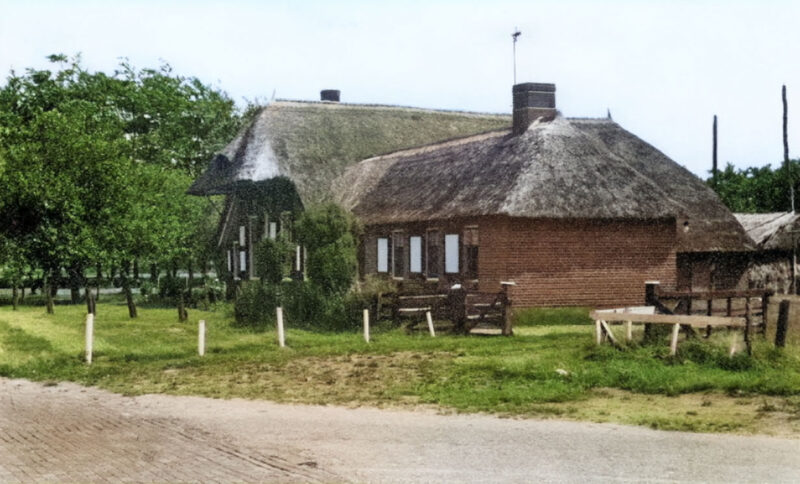 Lees meer over het artikel Klein Mulaertserf